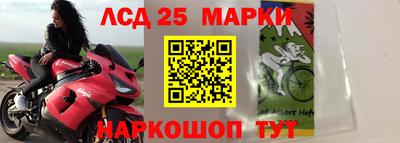 гидропоника Моздок