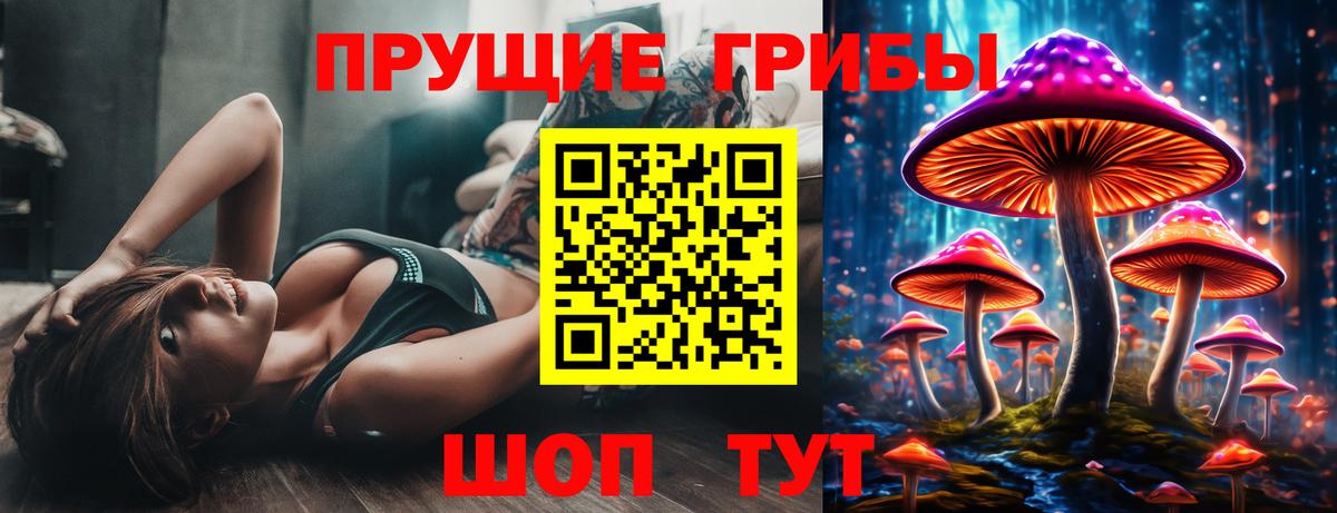 Галлюциногенные грибы Magic Shrooms  Псилоцибиновые грибы Psilocybine cubensis  Вход с VPN  Торжок 